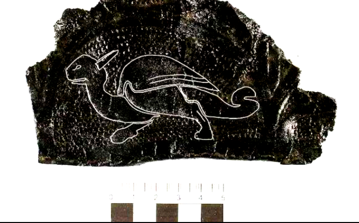 Toby Kendall, cán bộ dự án tại York Archaeological Trust cho biết, đó là một tấm da được bảo quản cực kỳ tốt, ước tính có niên đại từ Thời Trung Cổ. Ảnh: @Viện Nghiên Cứu Khảo Cổ York Archaeological Trust.