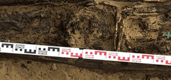 Khả năng cao người phụ nữ này được chôn cất vào cuối những năm 1.800 hoặc đầu năm 1.900 Sau Công Nguyên. Ảnh: @Tiến sĩ Elena Solovyova.