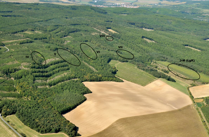 Một nhóm các nhà nghiên cứu người Séc đã phát hiện ra hài cốt của hai người phụ nữ, bộ hài cốt một đứa trẻ sơ sinh nằm trên ngực, kèm theo hài cốt của một con chó nhỏ. Ảnh: @ J.Vondra.