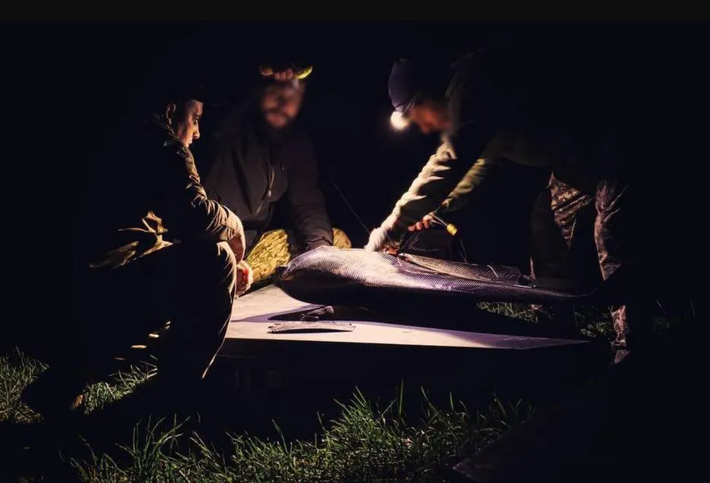 Thành thật mà nói, dù không có đột phá công nghệ quá lớn nào được thể hiện ở đây, nhưng máy bay không người lái được trang bị động cơ phản lực Telefly JT80 này đánh dấu sự chuyển dịch sang vũ khí nhanh hơn và nguy hiểm hơn. Ảnh: @Cơ quan Tình báo GUR của Ukraine.