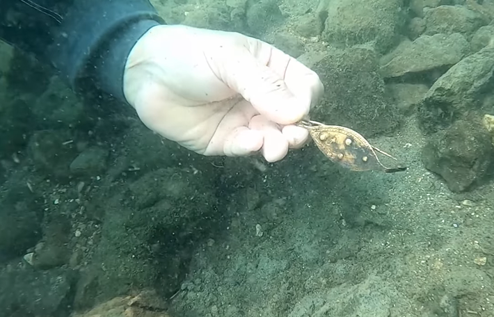 Cuộc khai quật cũng đã phát hiện hơn 25 hiện vật bằng đồng được bảo quản tốt—bao gồm đầu rìu, vòng và các mảnh thanh đồng—cho thấy cư dân nơi đây đã từng có xưởng gia công kim loại riêng. Ảnh: @Bảo Tàng Quốc Gia Ý.