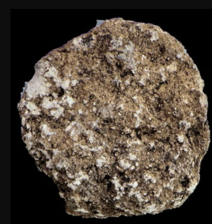 Trong số ba chiếc nắp được tìm thấy, chỉ có một chiếc còn trong tình trạng tốt, trong khi hai chiếc còn lại bị xói mòn nghiêm trọng. Ảnh: @Viện Nhân chủng học và Lịch sử Quốc gia Mexico.