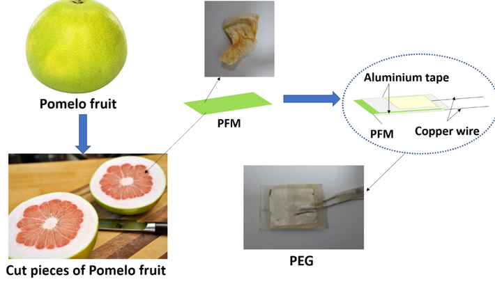 Họ cắt nó thành miếng nhỏ hơn và cho đông khô để bảo quản cấu trúc xốp ba chiều độc đáo của nó. Sau đó, mẫu này được lưu trữ trong các điều kiện độ ẩm khác nhau để phân tích thêm. Ảnh: @Nature.