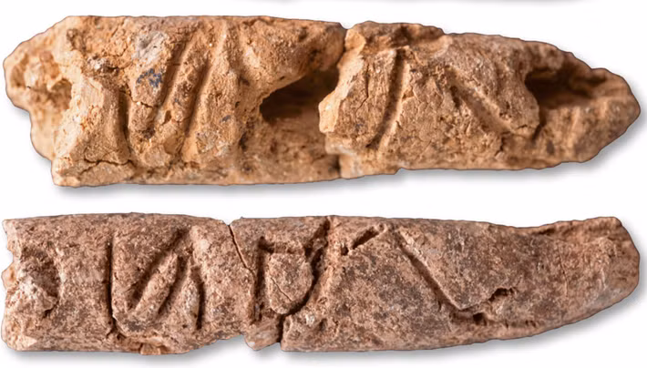 Đồng thời, điều này cũng sẽ làm thay đổi quan niệm về cách con người cổ đại hình dung sáng tạo về ngôn ngữ, chữ viết trong giao tiếp. Ảnh: @Elaine Sullivan.