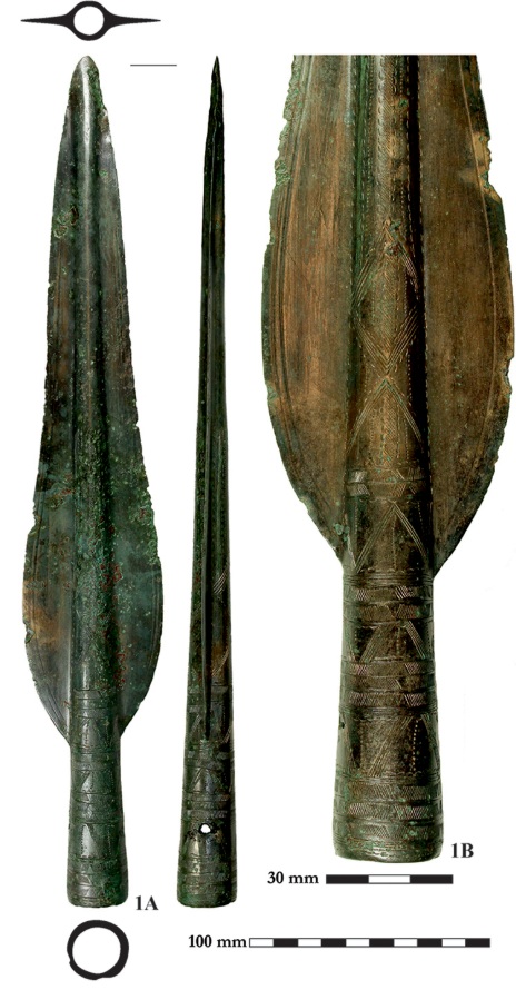 Ngoài các hiện vật bằng kim loại, nhóm còn tìm thấy các hạt hổ phách, tàn tích vải và da, răng lợn rừng và lợn nhà. Ảnh: @Bảo tàng Quốc gia Hungary.