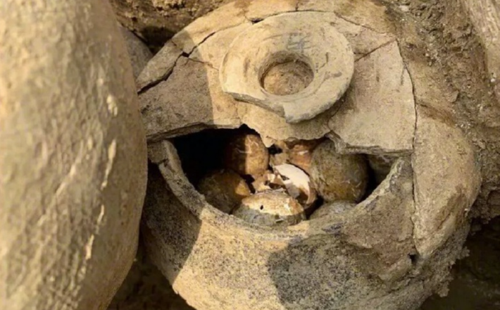 Những quả trứng còn lại sẽ được kiểm tra chất hữu cơ bằng thiết bị kỹ thuật hiện đại để truy tìm gốc tích. Ảnh: @Viện Khảo cổ học Bảo tàng Nam Kinh.