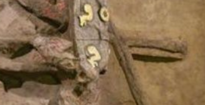 Các nhà khảo cổ nhận thấy bề mặt xe được chạm khắc nhiều hoa văn tinh xảo. Hai huy hiệu rồng dát vàng được tìm thấy cùng với xe. Ảnh: @Viện Hàn lâm Khoa học Xã hội Trung Quốc.