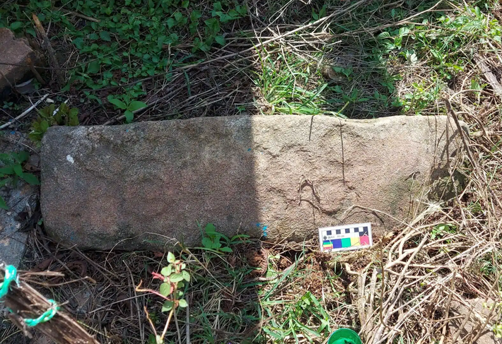 Tại hiện trường khu phức hợp này, các chuyên gia tìm thấy các hình khắc bí ẩn của người bản địa và tàn tích kiến ​​trúc quy mô lớn. Ảnh: @Viện Nhân chủng học và Lịch sử Quốc gia Mexico.