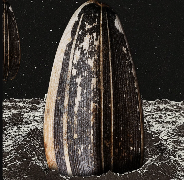 Hagedorn thuộc Viện Bảo tồn Sinh học và Vườn thú Quốc gia Smithsonian ở Washington DC, cho biết: "Thật tốt khi ngày càng có nhiều kế hoạch được đề xuất, đặc biệt là khi nói đến việc bảo vệ đa dạng sinh học và sự sống trên Trái đất trên một hành tin khác". Ảnh: @The Guardian.