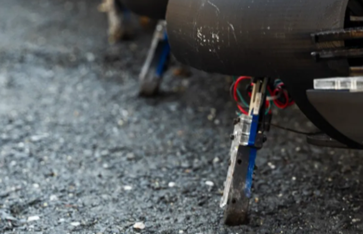 Daniel Goldman, giám đốc Phòng thí nghiệm CRAB tại Viện Công nghệ Georgia, giải thích với Tạp chí IEEE Spectrum rằng: “Bằng cách phối hợp cẩn thận việc nâng và hạ chân, con rết robot này có thể duy trì khả năng chuyển động ổn định, len lỏi qua các môi trường địa hình khác nhau”. Ảnh: @Ground Control Robotics.