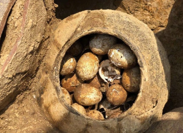 Nhà khảo cổ học Lâm Lưu Căn cho biết, bên trong chiếc lọ sẽ được chụp X-quang và số lượng trứng đó sẽ được xác định thông qua tia X. Ảnh: @Viện Khảo cổ học Bảo tàng Nam Kinh.