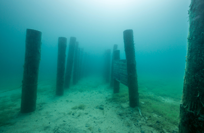 Ngoài ra, các chuyên gia còn tìm thấy 600 cọc gỗ nhô ra từ đáy hồ giàu đất sét, bao phủ khoảng một phần ba diện tích của ngôi làng này. Ảnh: @Bảo Tàng Quốc Gia Ý.