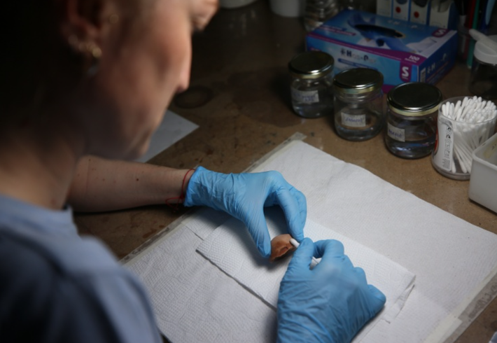 Ông cũng nhấn mạnh rằng, chiếc bình nhỏ này được tìm thấy trong tàn tích bàn thờ và khu vực dâng lễ vật cầu nguyện lên thần linh. Ảnh: @Đại học Çanakkale.