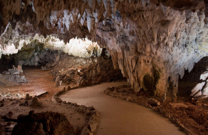 Đây là một ví dụ độc đáo trong hồ sơ khảo cổ học châu Âu về một ngôi nhà cọc được xây dựng trong môi trường ngầm. Ảnh: @Viện Khảo cổ học Trung ương Ý.