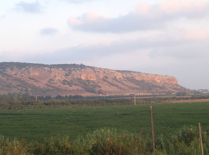 Trong quá trình đi bộ đường dài trên Núi Carmel ở Israel, một cậu bé 13 tuổi tên là Yair Whiteson bất ngờ tìm thấy một cổ vật kỳ lạ khó hiểu. Sau đó, cậu bé cùng gia đình đã báo cáo sự việc này lên Cơ quan Cổ vật Israel. Ảnh: @Cơ quan Cổ vật Israel.
