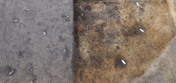 Các hố cọc cổ là một phần của một tòa nhà dân cư dài ít nhất sáu mét và rộng bốn mét, cũng như các công trình nhỏ hơn như kho thóc và xưởng dệt. Xưởng dệt, một công trình bán ngầm có kích thước 4 x 3,3 mét, chứa các quả cân khung dệt hình chóp, cho thấy việc sản xuất các loại vải rộng khoảng 60 cm trên khung dệt đứng. Ảnh: @Văn phòng Quản lý Di sản và Khảo cổ học bang Saxony-Anhalt.