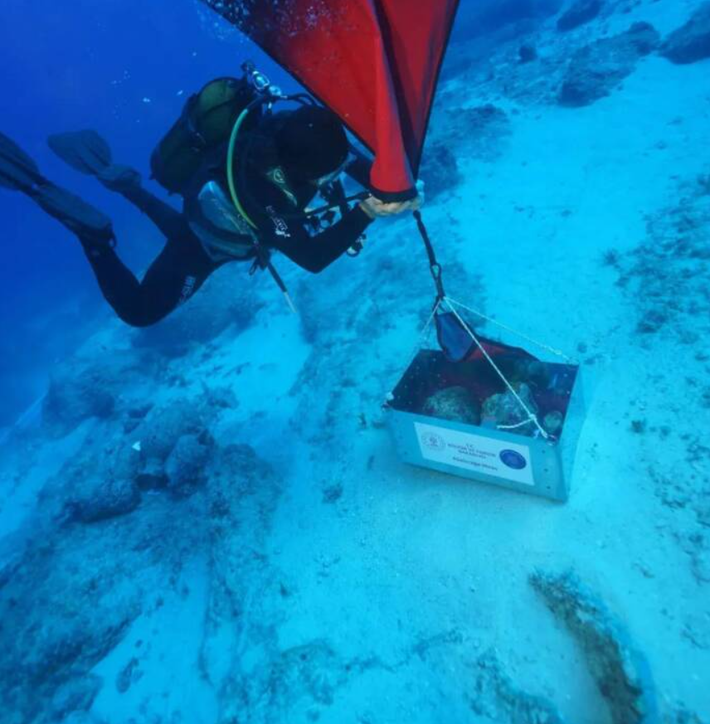 Con tàu bị chìm trong một cơn bão, khiến toàn bộ số hàng hóa quý giá của nó được bảo quản dưới nước suốt hơn một thiên niên kỷ. Ảnh: @Đại học Akdeniz.