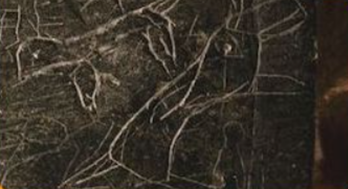 Đây là một loại bùa chú trừ tà, cũng có thể được sử dụng để bảo vệ khỏi nọc độc của bọ cạp. Ảnh: @Cơ Quan Cổ Vật Thổ Nhĩ Kỳ.