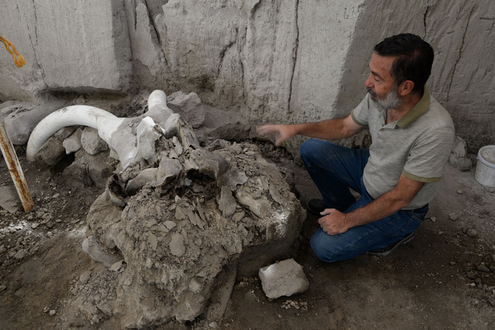 Các bằng chứng trên cho thấy, đây là một hệ thống bẫy có tổ chức kỹ lưỡng, tận dụng tối đa mọi chiến lợi phẩm. Ảnh: @Viện Nhân chủng học và Lịch sử Quốc gia Mexico.