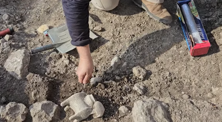 Tại vùng đất này, cách xa những bức tường thành, trên vùng đồng bằng, các nhà khảo cổ học từ Cơ quan Cổ vật Israel đã khai quật được một bộ đồ dùng nghi lễ hình động vật có niên đại 3.300 năm tuổi. Ảnh: @Cơ quan Cổ vật Israel.