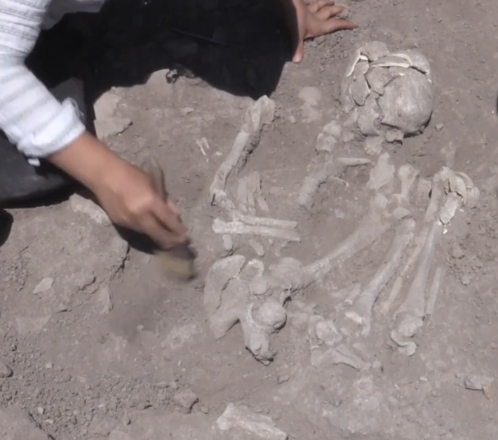 Ngoài ra, người phụ nữ này còn được chôn cùng với xương cừu. Ảnh: @Đại học Hacettepe.