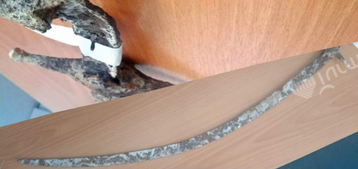 Mặc dù có kích thước lớn, nhưng trọng lượng nhẹ của nó cho phép các lính kỵ binh thực hiện các đòn chém liên tiếp với tốc độ nhanh. Ảnh: @Turmush.