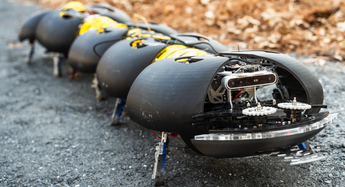 Mặt khác theo công ty GCR, hiện tại không có giải pháp tự động nào để kiểm soát cỏ dại xung quanh các loại cây được trồng rậm rạp, dạng dây leo như việt quất, dâu tây hoặc nho. Thế nên, công ty tin rằng, rết robot của họ có thể là giải pháp thay thế mang tính cách mạng lớn. Ảnh: @Ground Control Robotics.