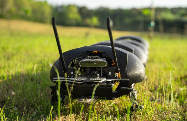 Việc làm cỏ thủ công trên các cánh đồng như vậy có thể tốn rất nhiều chi phí, nguồn nhân lực, trong khi tình trạng thiếu hụt lao động khiến việc này ngày càng trở nên khó khăn hơn. Ảnh: @Ground Control Robotics.