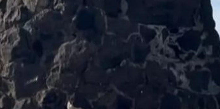 Việc xây dựng nó dường như là có chủ đích, kết quả của một kế hoạch tỉ mỉ hơn là ngẫu nhiên. Ảnh: @Bảo Tàng Quốc Gia Thổ Nhĩ Kỳ.