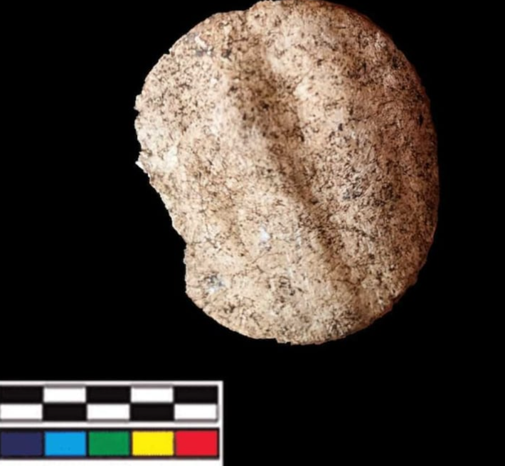 Nghiên cứu kỹ hơn, kết quả cho thấy chúng là tàn tích của một meliponary (một nhà nuôi ong của người Maya bản địa cổ xưa). Ảnh: @Viện Nhân chủng học và Lịch sử Quốc gia Mexico.