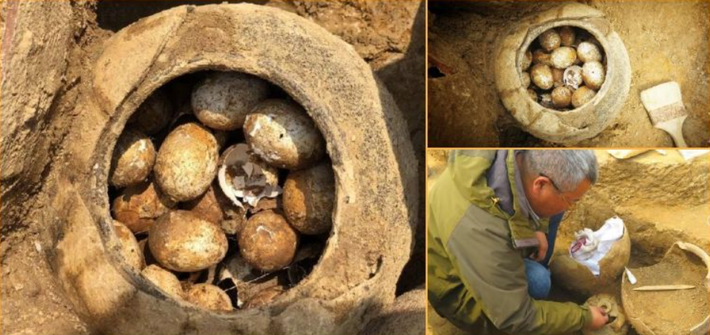 Tuy nhiên, điều gây sốc các chuyên gia đó là chuyện họ tìm thấy có một lọ chứa đầy trứng, trong đó chỉ có một quả trứng bị vỡ, còn lại thì khá nguyên vẹn. Ảnh: @Viện Khảo cổ học Bảo tàng Nam Kinh.