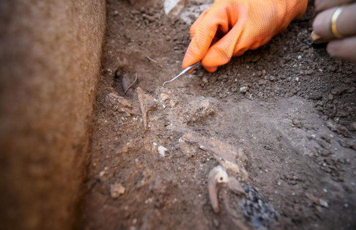 Ba trong số bốn cột tháp tàn tích ngôi đền cổ này đã được phát hiện, và điều kỳ lạ là thiết kế của mấy cột tháp ngôi đền rất giống với Cấu trúc Cột tháp Sư tử ở Göbeklitepe. Ảnh: @Bảo tàng Mardin.