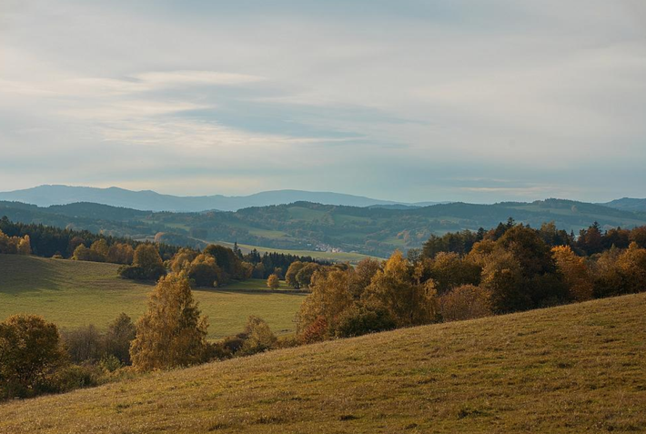 Rừng Krumlov, phía nam Moravia, Cộng hòa Séc nổi tiếng từ thế kỷ 19 với trữ lượng mỏ đá lửa dồi dào. Ảnh: @ J.Vondra.