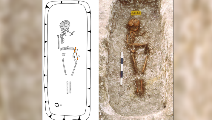 Cụ thể, các chuyên gia đã tiến hành thăm dò, nghiên cứu, phân tích ADN của khoảng 310 bộ hài cốt cổ, chủ yếu thông qua phần xương và răng. Ảnh: @Bảo Tàng Quốc Gia Argentina.