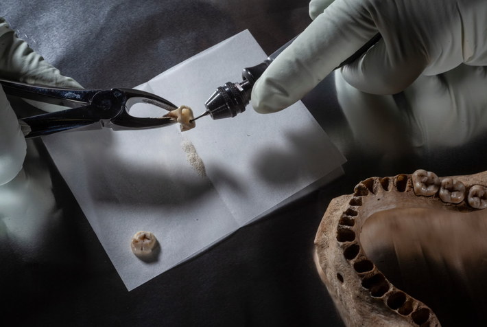 Tại miền trung Argentina, các chuyên gia đến từ Bảo Tàng Quốc Gia Argentina đã có một khám phá phi thường. Ảnh: @Bảo Tàng Quốc Gia Argentina.