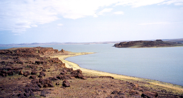 Nó được khai quật ở Đông Turkana, miền bắc Kenya. Ảnh: @Đại học Stony Brook.