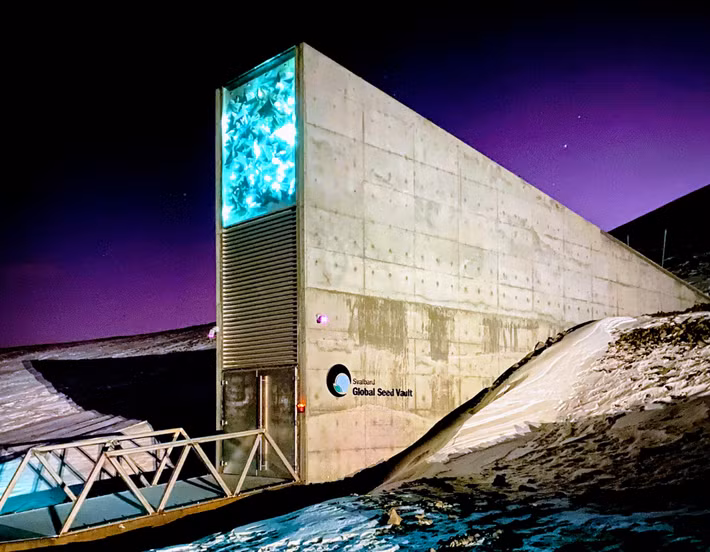 Hagedorn và các đồng nghiệp lấy cảm hứng từ câu chuyện, Kho hạt giống toàn cầu Svalbard ở Na Uy, nơi tận dụng nhiệt độ đóng băng của Bắc Cực để bảo quản hàng triệu hạt giống từ khắp nơi trên thế giới. Ảnh: @Simple Wikipedia.
