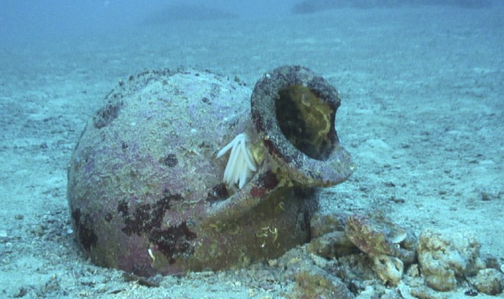 22 chiếc bình gốm cổ này được tìm thấy ở độ sâu 40-60 mét gần những tảng đá gần bán đảo Karaburun ở biển Ionian, Albania. Ảnh: @Quỹ Nghiên Cứu Khảo Cổ RPM Maritime Foundation.