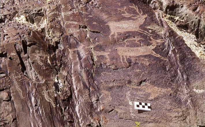 Ban đầu, những bản khắc này mô tả nai sừng tấm với độ chân thực đáng kinh ngạc, phản ánh sự hiểu biết sâu sắc của người xưa về thế giới tự nhiên. Ảnh: @Tạp chí Khảo cổ học Cambridge.