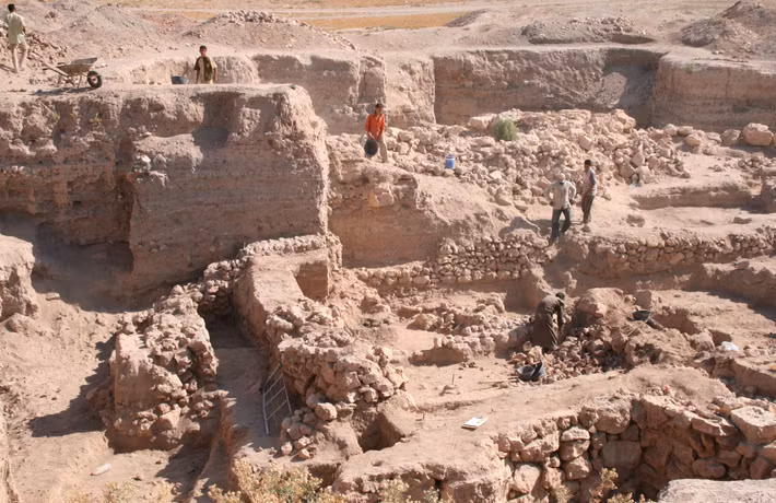 Khi tiến hành khai quật tại Umm el-Marra, một thành phố Thời Kỳ Đồ Đồng ở miền bắc Syria, các chuyên gia bất ngờ tìm thấy nhiều vật thể lạ bí ẩn. Ảnh: @Elaine Sullivan.