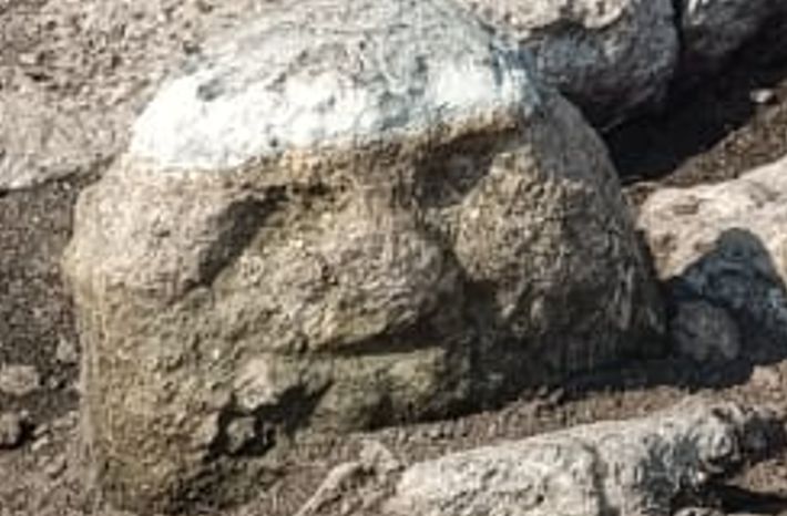 Các nhà khảo cổ học thuộc Viện Nhân chủng và Lịch sử Quốc gia Mexico tin rằng, nó được sử dụng cho các mục đích nghi lễ cộng đồng. Ảnh: @Viện Nhân chủng và Lịch sử Quốc gia Mexico.