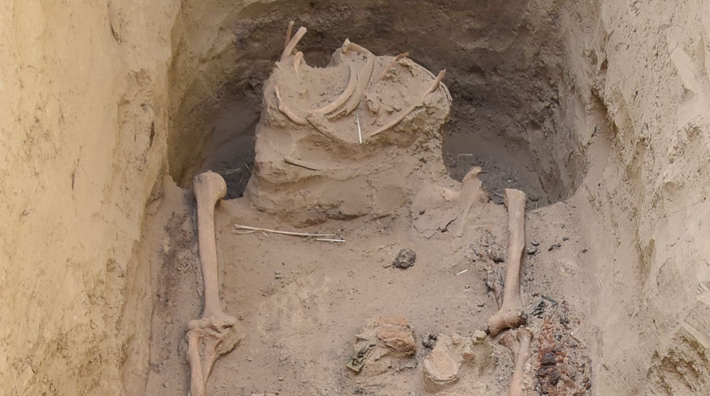 Đầu, ngực và bụng của chiến binh đã bị lấy đi trong thời cổ đại, chỉ còn lại xương cánh tay và phần xương thân dưới. Ảnh: @Bảo tàng Szent István Király.