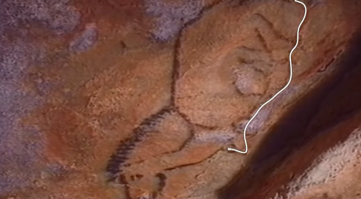 Ngoài các loài ngựa, bò rừng và bò tót, còn có những hình ảnh về sinh vật biển, bao gồm hải cẩu, chim cánh cụt, sứa và cá voi. Ảnh: @Jespa.