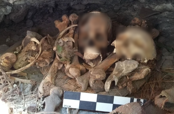 Đó là một ngôi mộ cổ tập thể, ước tính có niên đại khoảng 2.000 năm tuổi. Ảnh: @Viện Nhân chủng học và Lịch sử Quốc gia Mexico.