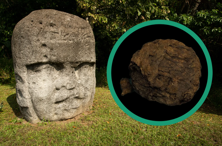 Nền văn minh Người Olmec là một nền văn minh Trung Mỹ tồn tại từ năm 1.200 Trước Công Nguyên đến năm 400 Trước Công Nguyên. Ảnh: @Đại học Quốc gia Mexico.
