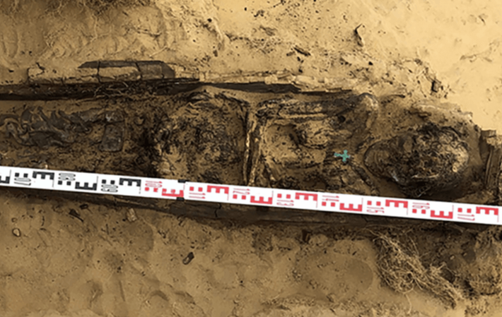 “Các mô mềm của bà ấy được bảo quản rất tốt”, Tiến sĩ Elena Solovyova nói. Ảnh: @Tiến sĩ Elena Solovyova.