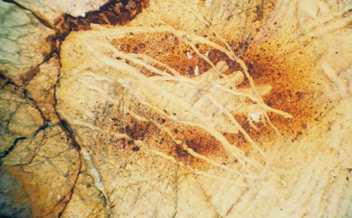 Chúng đại diện cho một bằng chứng hiếm hoi về nghệ thuật Thời kỳ Đồ Đá Cũ Thượng Kỳ, trải dài cả thời kỳ Gravettian và Solutrean. Ảnh: @Jespa.