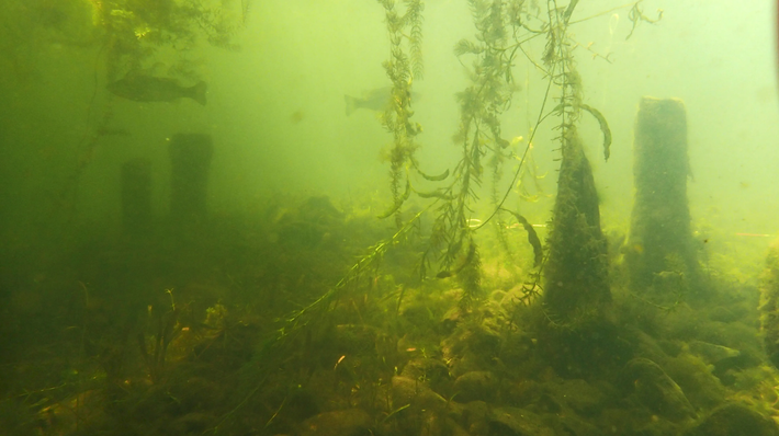 Nằm gần di tích này dưới hồ Biwa, các chuyên gia đến từ Viện Nghiên cứu Hàng hải Quốc gia Nhật Bản bất ngờ tìm thấy một cổ vật lạ. Ảnh: @Ảnh: @Viện Nghiên cứu Hàng hải Quốc gia Nhật Bản.