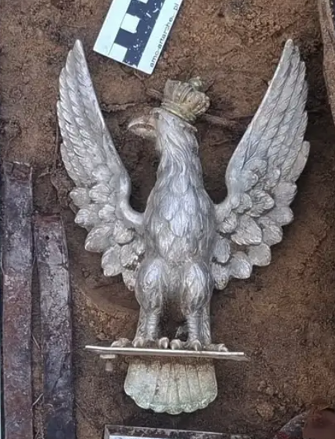 Quan sát kỹ hơn, có thể thấy con đại bàng trắng bạc này có mỏ, móng vuốt và đội cả chiếc vương miện vàng cực kỳ ấn tượng. Ảnh: @Nhóm Bảo vệ Di tích Pháo đài.