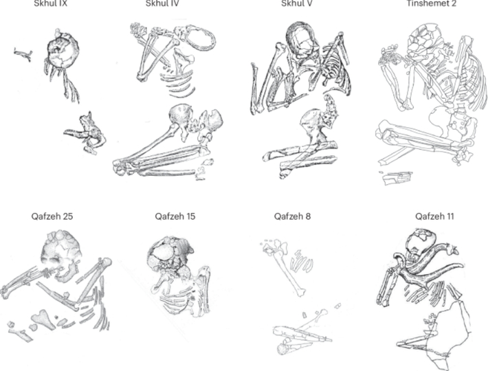Tại hiện trường, họ đã tìm thấy bộ xương của ít nhất hai cá thể, một người lớn và một đứa trẻ, cùng với ba hộp sọ và các xương người khác. Ảnh: @Đại học Tel Aviv.